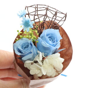 a j ybg v[g ԑ ~ju[P ͂˂ ^Cj[u[P ^Cj[ԑ j LO NX}X vU[uht[ uU[h  ObY v[g 