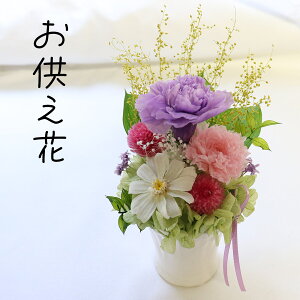 ~  ̓Q r vU[uht[  ~j V~  ~   蕨 d  vU[uht[ ri    d  A