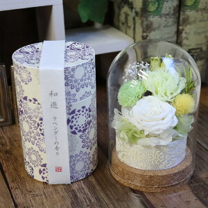 r ~   V~ KXh[ vU[uht[  Zbg ̓Q  ~ ̓Q  AWg  ̉ 蕨  V~ d d d  v