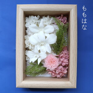 r ~  r͂͂ ~  ̓Q vU[uht[  ~  V~  t[t[ ft@ r r͂͂ 