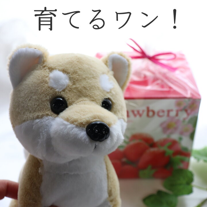 楽天市場】誕生日プレゼント 母 犬 ぬいぐるみ ははの日 誕生日 雑貨  