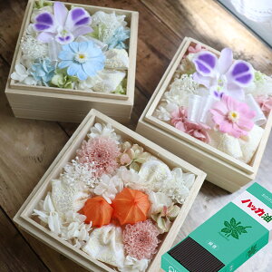 ~  ̓Q   Zbg S ق nbJ  ~  p  V~  ފ     ˔ 蕨  vU[uht[ 