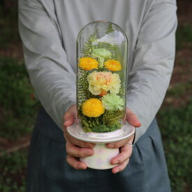 仏花 プリザーブドフラワー ドーム 仏壇用 プリザーブドフラワー 初盆 お供え 父の日参り 仏花 ガラスドーム 母の日参り 喪中見舞い 仏壇用 ドーム 位牌 花 御供 お供え お悔やみ 初盆 ブリザードフラワー 喪中見舞い 寒中見舞い 四十九日 お盆 お彼岸 ガラスドーム 黄菊