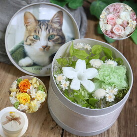ペット お供え プリザーブドフラワー 写真 お悔やみ 贈り物 犬 猫 プリザード 花 メモリアル 犬 猫 鳥 かわいい ボックスフラワー ボックス 贈り物 お盆 初盆 お供え花 新盆 メモリアル 仏花 供養花 献花 供花 お供え物 命日 一周忌 四十九日 49日 「小さな花箱」