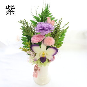 vU[uht[  P[X ~  ̓Q ̓Q NAP[X t   ~   ̓  ̐l   r  