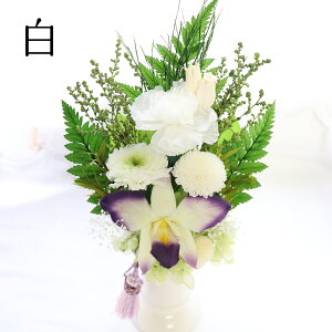 vU[uht[  P[X ~  ̓Q ̓Q NAP[X t   ~   ̓  ̐l   r  