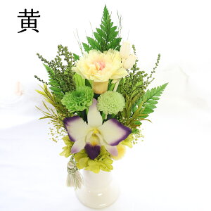 vU[uht[  P[X ~  ̓Q ̓Q NAP[X t   ~   ̓  ̐l   r  