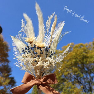 a  u[P ސEj ԑ hCt[ ԑ v[g CeA  CeAG XbO u[P   a Vzj vU[uht[ zj [