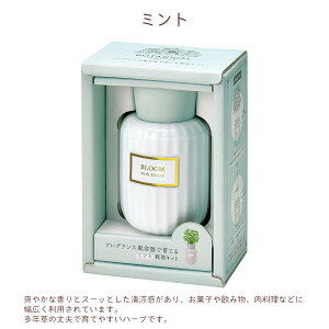 ސEj ԑ vU[uht[ a  v[g ԑ yԑƍ͔|ZbgMtgz v[g 2025 ͔|Lbg  ~g ChXgx[ o[ av[g