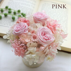  av[g 2025  vU[uht[  Ђ܂ ސEj  jd LO   v[g e  ސEj  oYj t[Mtg j 