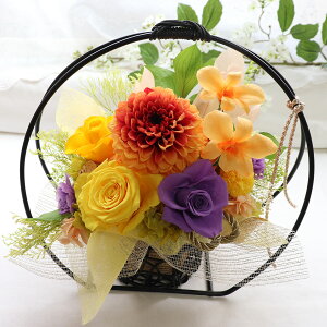 P j v[g Ď j v[g vU[uht[ P 80 88 j i j c c  @j  Ďj   P̂j F a 蕨 