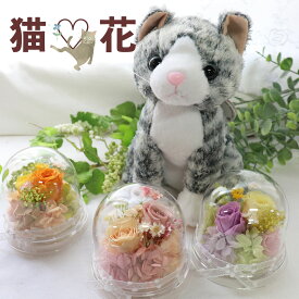 猫好き 誕生日プレゼント 女性 プリザーブドフラワー 猫 母の日 プレゼント 贈り物 グッズ 雑貨 花 猫 お悔やみギフト お悔やみ ペット 誕生日 ギフト 黒猫 ぬいぐるみ 三毛猫 茶トラ サバトラ ハチワレ お見舞い 退職祝い お祝い 入学 入園 女の子　「はにゃにゃんこ」