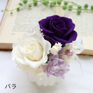 vU[uht[  ~j r ~  ̓Q  vU[uht[ ~  AWg 3000~ r    d      