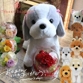 誕生日 母の日 犬 花 プリザーブドフラワー ドーム ブリザード 犬好き ぬいぐるみ 2026 誕生日 プレゼント 退職祝い お見舞い 結婚式 電報 母 女性 かわいい 結婚祝い 電報 ギフト 結婚記念日 お供え ペット 犬好き 発表会 ペット お供え 「わんだ♪フラワーセット」
