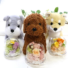 誕生日 母の日 犬 花 プリザーブドフラワー ドーム ブリザード 犬好き ぬいぐるみ 2025 誕生日 プレゼント 退職祝い お見舞い 結婚式 電報 母 女性 かわいい 結婚祝い 電報 ギフト 結婚記念日 お供え ペット 犬好き 発表会 「わんだ♪プチフラワーセット」