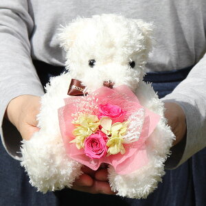 vU[uht[  d jd  ԑ efBxA  ʂ  h[ Џj  LO v[g  e Џj Fl j җj zj