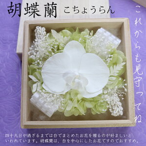 r vU[uht[   Zbg r͂͂ ~  ~j dp d    Mtg  uU[uht[ _ ފ 49  