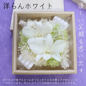 r vU[uht[   Zbg r͂͂ ~  ~j dp d    Mtg  uU[uht[ _ ފ 49  