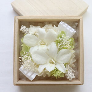 r ~  vU[uht[  Zbg ~     Zbg ̓Q r͂͂  ~  p  V~ ފ  