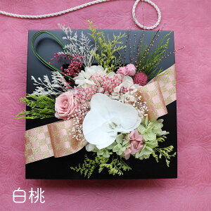 Ê j vU[uht[  j v[g  a AW ̓  j Êj j 77 j   j Mtg 蕨   vU[uht[  