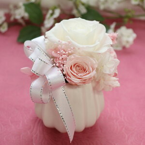 S   Ď P  Ê җ j j vU[uht[  NAP[X Sj җj Êj j Ďj ސEj  a 60 70 80 90 u