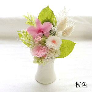 vU[uht[  ~j ~   r  V~  ̓  ̐l   蕨    ~ vU[uht[   ԁ@~