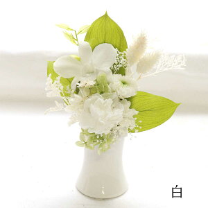 vU[uht[  ~j ~   r  V~  ̓  ̐l   蕨    ~ vU[uht[   ԁ@~