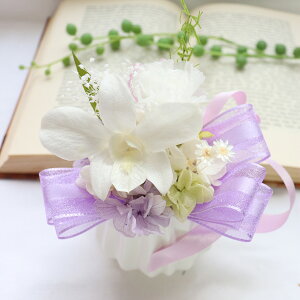 vU[uht[  Zbg ~  ̓Q r   Zbg  ފ ~  r p   ފ  蕨  ~ ̐l ފ 