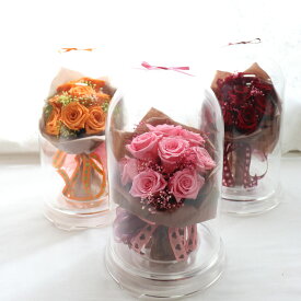 プリザーブドフラワー ドーム 花束 結婚記念日 誕生日プレゼント 女性 結婚祝い 結婚式 電報 祝電 ブリザードフラワー 退職祝い 花 プロポーズ 赤 オレンジ ピンク レッド 還暦祝い 米寿 傘寿 お祝い 百寿祝い 両親 花束贈呈 妻 「ドームブーケ」