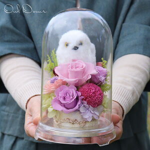 ӂ낤  Ê j v[g Êj  j ̂j j   70 av[g 77   Ê j vU[uht[  v[g ̂j