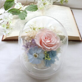 プリザーブドフラワー ドーム 結婚式 結婚式 電報 祝電 花 おしゃれ 入籍祝い 可愛い 入籍結婚で両親に贈るプレゼント 結婚記念日 プレゼント 妻 両親 入籍祝い 友人 結婚祝い 引っ越し祝い 新築祝い 誕生日プレゼント 友達 同僚 誕生日 女性「祝福」