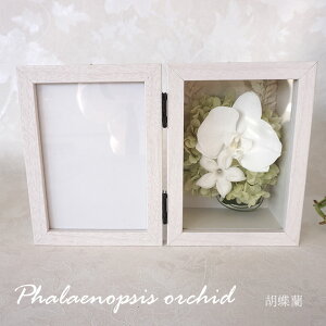 vU[uht[  ʐ^t   ʐ^  tHgt[ AtHgt[ vU[uht[   ʐ^  l\  zCg  v