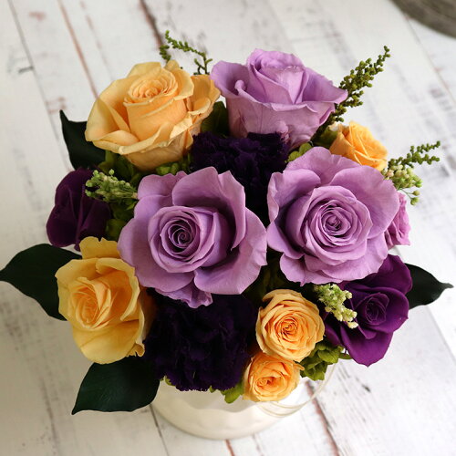 楽天市場 古希祝い 喜寿祝い 花 入籍祝い 誕生日プレゼント 花 母 喜寿のお祝い 古希のお祝い 喜寿 古希 お祝い 70歳 77歳 紫 プリザーブドフラワー 花 長寿祝い カーネーション 開店祝い 移転祝い 開業祝い 就任祝い 展示会 ビジネスフラワー マダムローズ スウィート