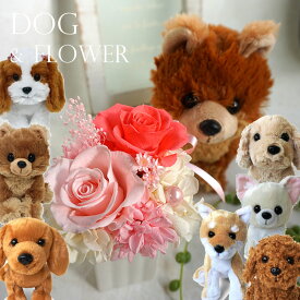 楽天市場 犬 ぬいぐるみ プリザーブドフラワー 花 観葉植物 花 ガーデン Diyの通販