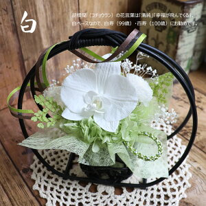 a AW hV̓  vU[uht[ { v[g  Vl җj 2025 70  90 a  v[g j Ӓ J[l[V  Mtg Ê Ď  