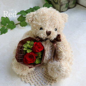 vU[uht[ av[g FB  a   d jd  ԑ efBxA  ʂ  h[ Џj  LO v[g  e 