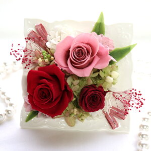   NAP[X ސEj   a   d  ̓ vU[uht[ oYj j Џj a ސEj v[g  LO v[