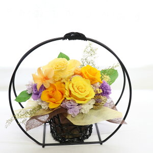 P j v[g Ď j v[g vU[uht[ P 80 88 j i j c c  @j  Ďj   P̂j F a 蕨 