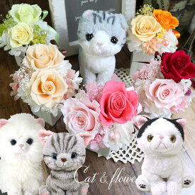 楽天市場 ぬいぐるみ 猫 花 ガーデン Diy の通販