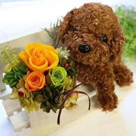 楽天市場 犬 ぬいぐるみ 花 ガーデン Diy の通販