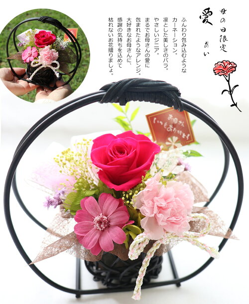 楽天市場 遅れてごめんね 母の日 プレゼント ギフト プリザーブドフラワー 花 21 ランキング 和風 お母さん おばあちゃん 送料無料 おしゃれ モダン お祝い 5月9日母の日 彩華 花ギフト サンクスブーケ 楽天市場 遅れてごめんね 母の日 プレゼント ギフト プリザーブドフラワー 花 21 ランキング 和風 お母さん おばあちゃん 送料無料 おしゃれ モダン お祝い 5月9日母の日 彩華 花ギフト サンクスブーケ