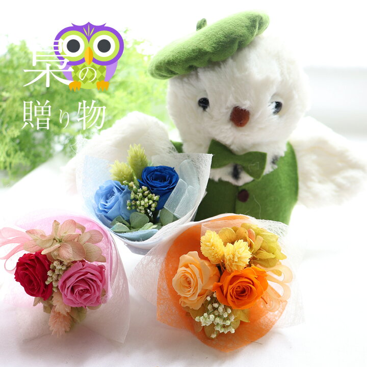 楽天市場 退職祝い 長寿祝い 緑寿 60代 父 誕生日 花 ぬいぐるみ 新商品 花束 お父さん ふくろう かわいい 誕生日 おめでとう 緑寿 お祝い 梟 ふくろうの贈り物 緑 敬老の日 おじいちゃん 花ギフト サンクスブーケ 楽天市場 退職祝い 長寿祝い 緑寿 60代 父 誕生日 花 ぬいぐるみ 新商品 花束 お父さん ふくろう かわいい 誕生日 おめでとう 緑寿 お祝い 梟 ふくろうの贈り物 緑 敬老の日 おじいちゃん 花ギフト サンクスブーケ