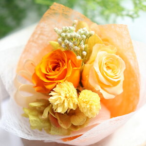 җj ԁ@a ̓ ӂ낤  av[g җj  2025 vU[uht[ ԑ e 60 50 40 ސEj  a v[g  ʂ ԑ җj }} 