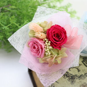 җj ԁ@a ̓ ӂ낤  av[g җj  2025 vU[uht[ ԑ e 60 50 40 ސEj  a v[g  ʂ ԑ җj }} 