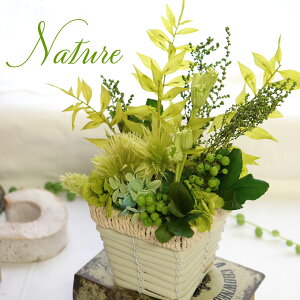 プリザーブドグリーン 観葉植物の人気商品 通販 価格比較 価格 Com