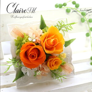 ސEj LO   vU[uht[ j a v[g Mtg Ď P IW F o    j 80 88 20 30 40 50 60 LO Vzj