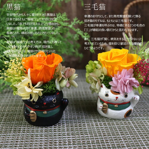 楽天市場 招き猫 プリザーブドフラワー 敬老の日 花 2020 米寿のお祝い 米寿 お祝い 誕生日 傘寿 新築祝い 開店祝い 開業祝い 黄色 バラ 長寿 祝い まねきねこ おしゃれ 黒 三毛猫 黒猫 猫 置物 新築祝い 引っ越し祝い 花招き猫 花ギフト サンクスブーケ