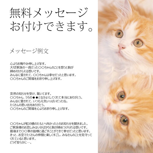 楽天市場 ペット お供え プリザーブド 犬 お悔やみ 贈り物 ペット 犬 お悔やみ 花 お悔やみ花 プリザーブドフラワー ブリザード お線香 メッセージ 贈り物 お悔やみの言葉 お供え花 お供え物 線香 虹のかなたとフラワーセット カメヤマ ペット供養 メモリアルギフト 楽天市場 ペット お供え プリザーブド 犬 お悔やみ 贈り物 ペット 犬 お悔やみ 花 お悔やみ花 プリザーブドフラワー ブリザード お線香 メッセージ 贈り物 お悔やみの言葉 お供え花 お供え物 線香 虹のかなたとフラワーセット カメヤマ ペット供養 メモリアルギフト