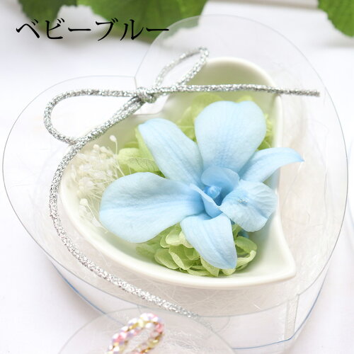 楽天市場 ペット お供え プリザーブド 犬 お悔やみ 贈り物 ペット 犬 お悔やみ 花 お悔やみ花 プリザーブドフラワー ブリザード お線香 メッセージ 贈り物 お悔やみの言葉 お供え花 お供え物 線香 虹のかなたとフラワーセット カメヤマ ペット供養 メモリアルギフト