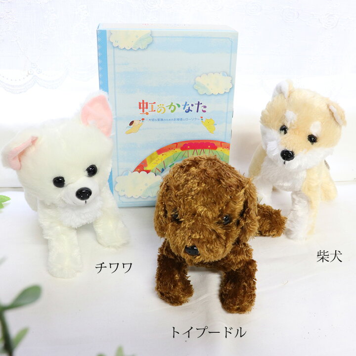 楽天市場 犬のぬいぐるみ 犬 お悔やみ 贈り物 猫 友達のペットが亡くなった ペット 電報 虹の橋 お線香 メッセージ 贈り物 お悔やみの言葉 手紙 言葉 お供え物 線香 虹のかなたとぬいぐるみセット カメヤマ ペット線香 ペットろうそく ペット供養 メモリアルギフト